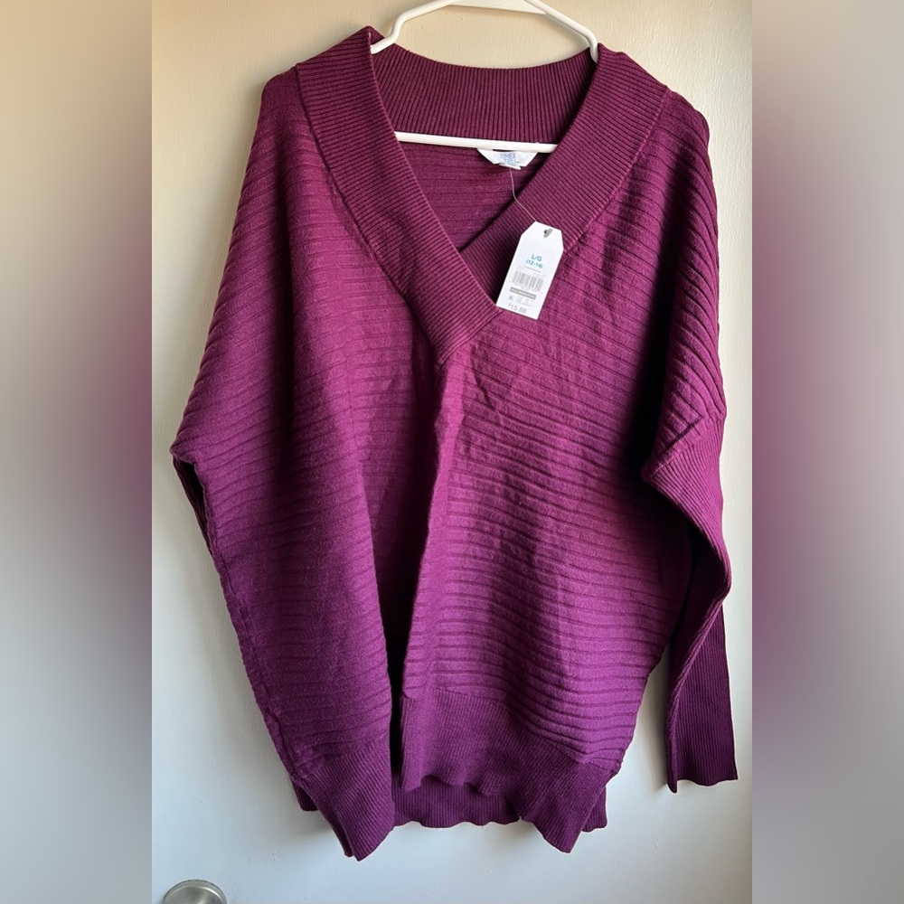 NWT Time & Tru Purple V-Neck Sweater